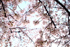 190407
