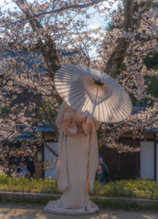 桜と着物