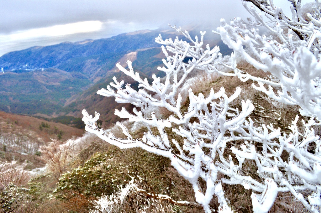 791E6B8E-AFA3-4018-8957-21596CFBF288