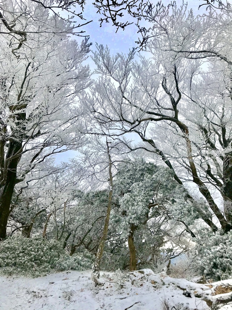 FA7B4021-58D9-4609-880A-AF45C132A930