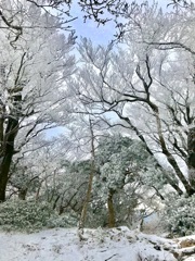 FA7B4021-58D9-4609-880A-AF45C132A930