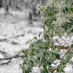 525033A7-F006-417B-80B5-8EEC78FF7823