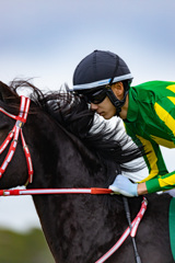 初競馬場トライ05