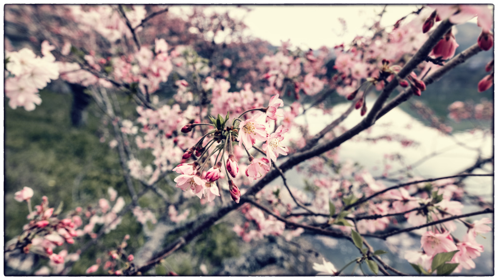 蘇水公園