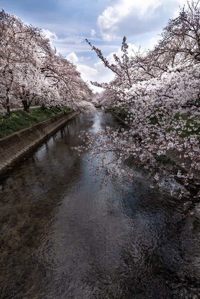 五条川