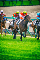 初競馬場トライ03