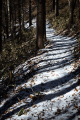 陣馬形山