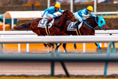 初競馬場トライ07