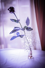 BLACKROSE