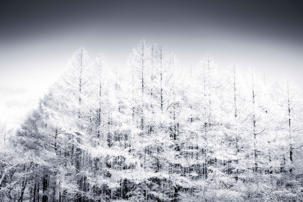 高ボッチ風景