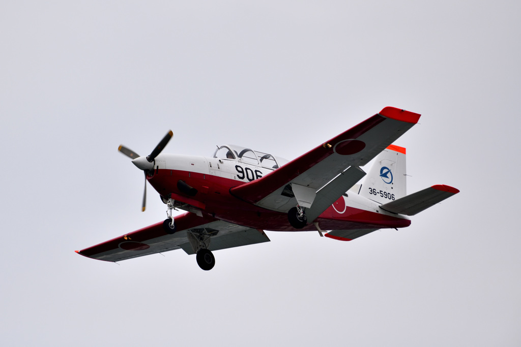 DSA_4329_024