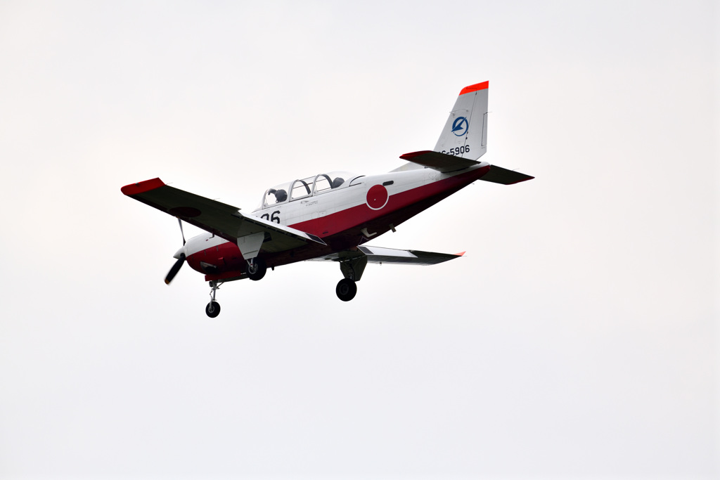DSA_4335_029