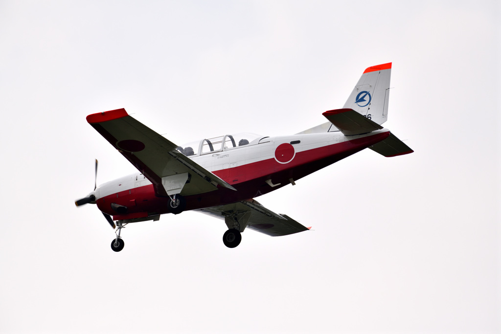 DSA_4334_028