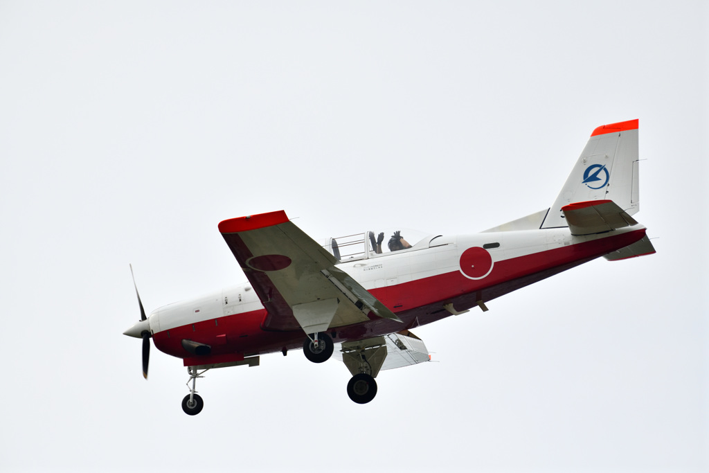 DSA_4313_015