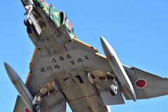 お腹に文字が・・・