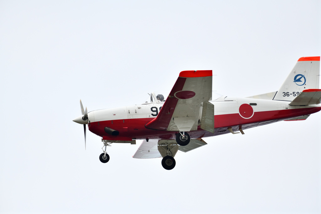 DSA_4312_014