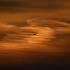 Ｃ１　００１号機　夕焼け