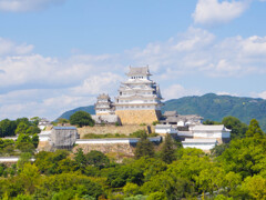 緑に浮かぶ姫路城