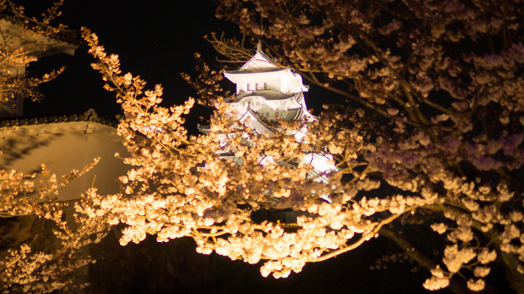桜に浮かぶ姫路城