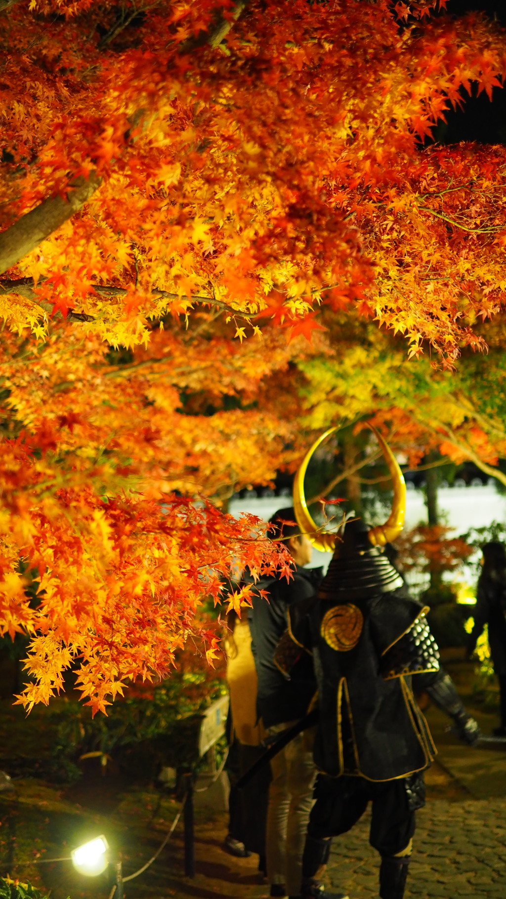 武士と紅葉