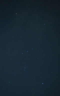 Orion 1