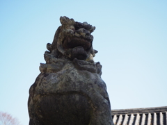 狛犬