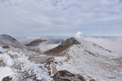 霧氷の九重連山