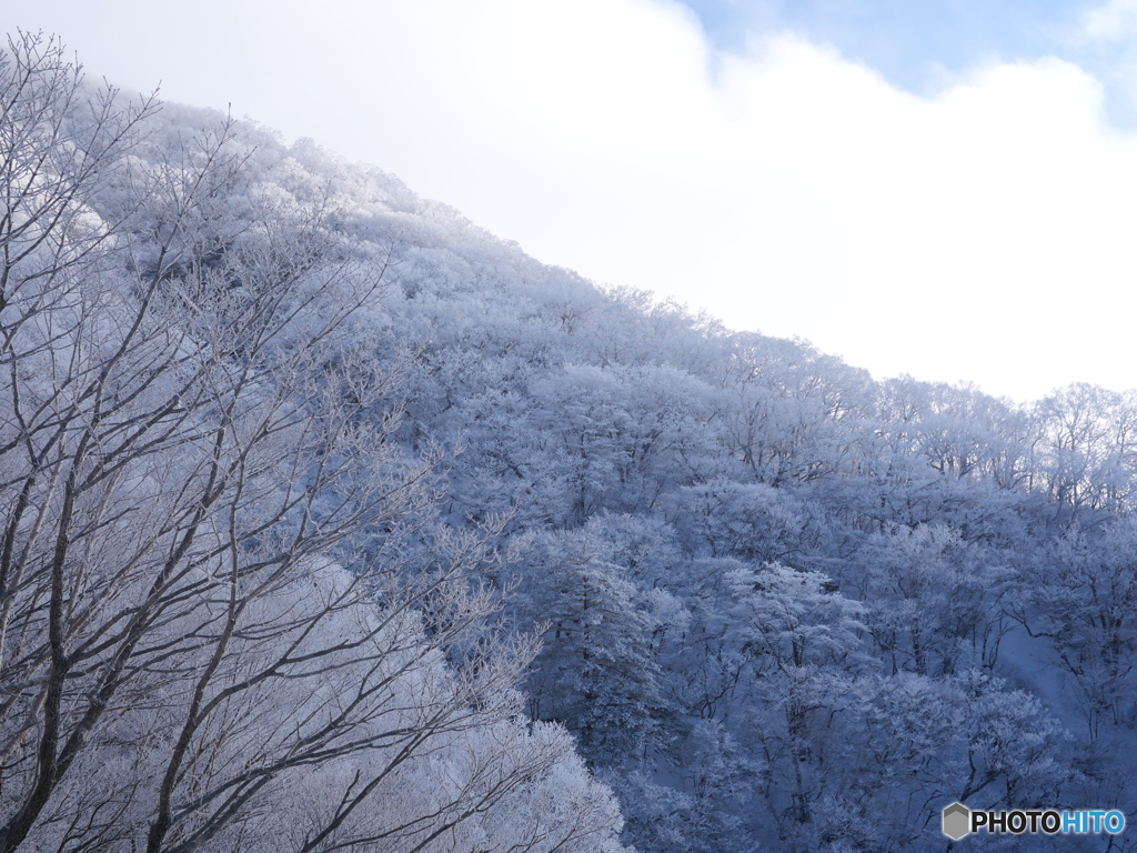 霧氷の稜線