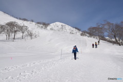 谷川岳への道