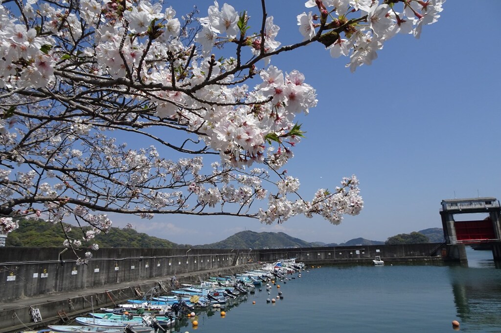 春の漁港