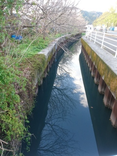 水路に映る空