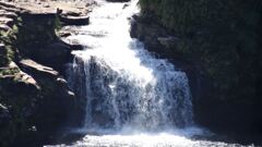 西表島カンピレーの滝