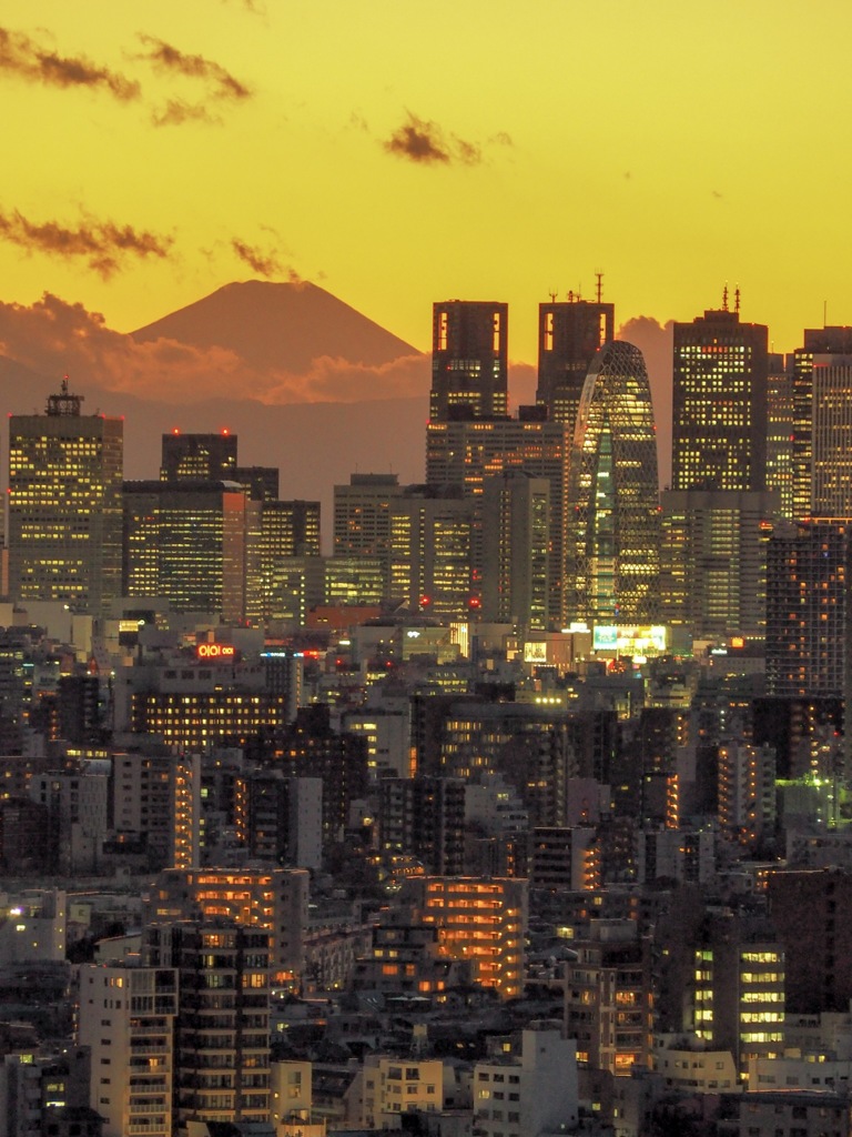 夕焼けに染まる新宿と富士山