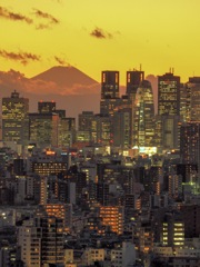 夕焼けに染まる新宿と富士山