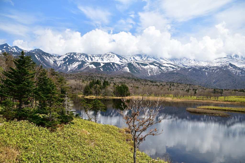 遥かなる山