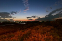 dusk