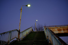 scene-1