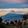 伊豆からの富士山