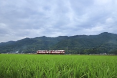 梅雨空