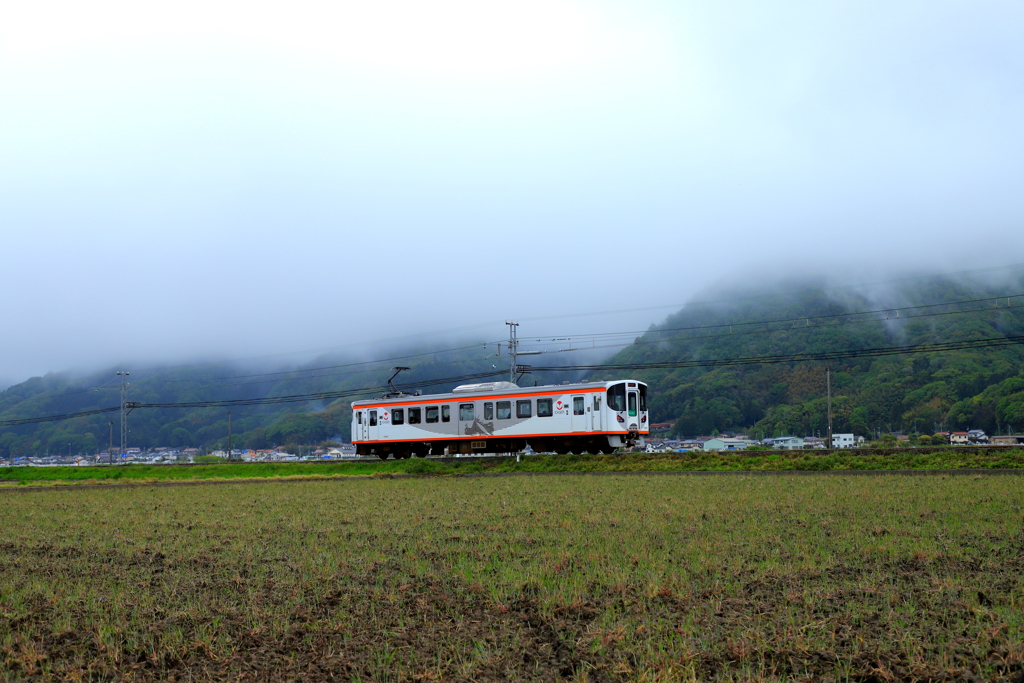 雨上がりを走る