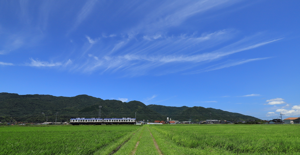 梅雨明け！