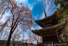 吉野山
