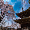 吉野山