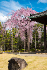 浅草寺　伝法院