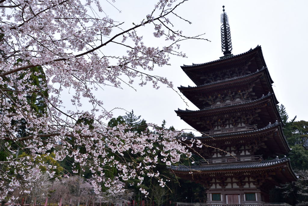 醍醐寺