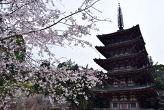 醍醐寺