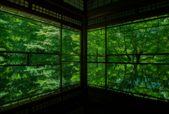 瑠璃光院
