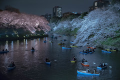 千鳥ヶ淵　夜景2