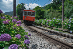 箱根登山鉄道5