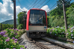 箱根登山鉄道3